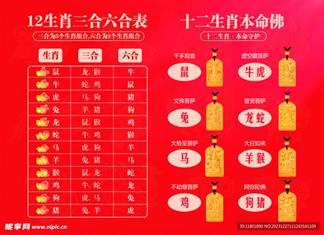 三六合|12 生肖配對的三合，六合，沖六，守衛保護六